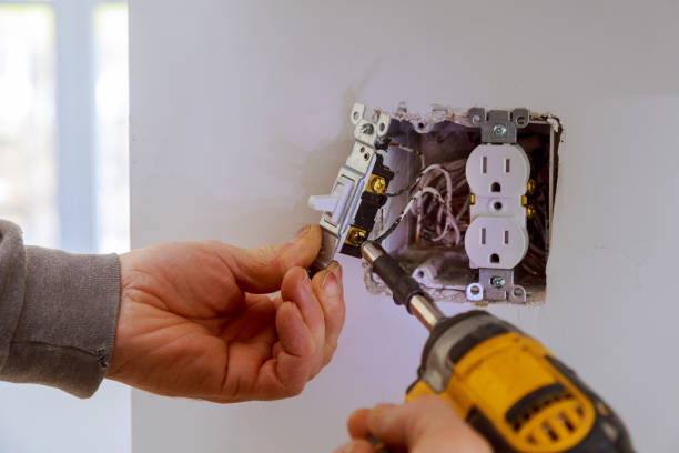 Best Electrical Maintenance Services  in Orlando, FL